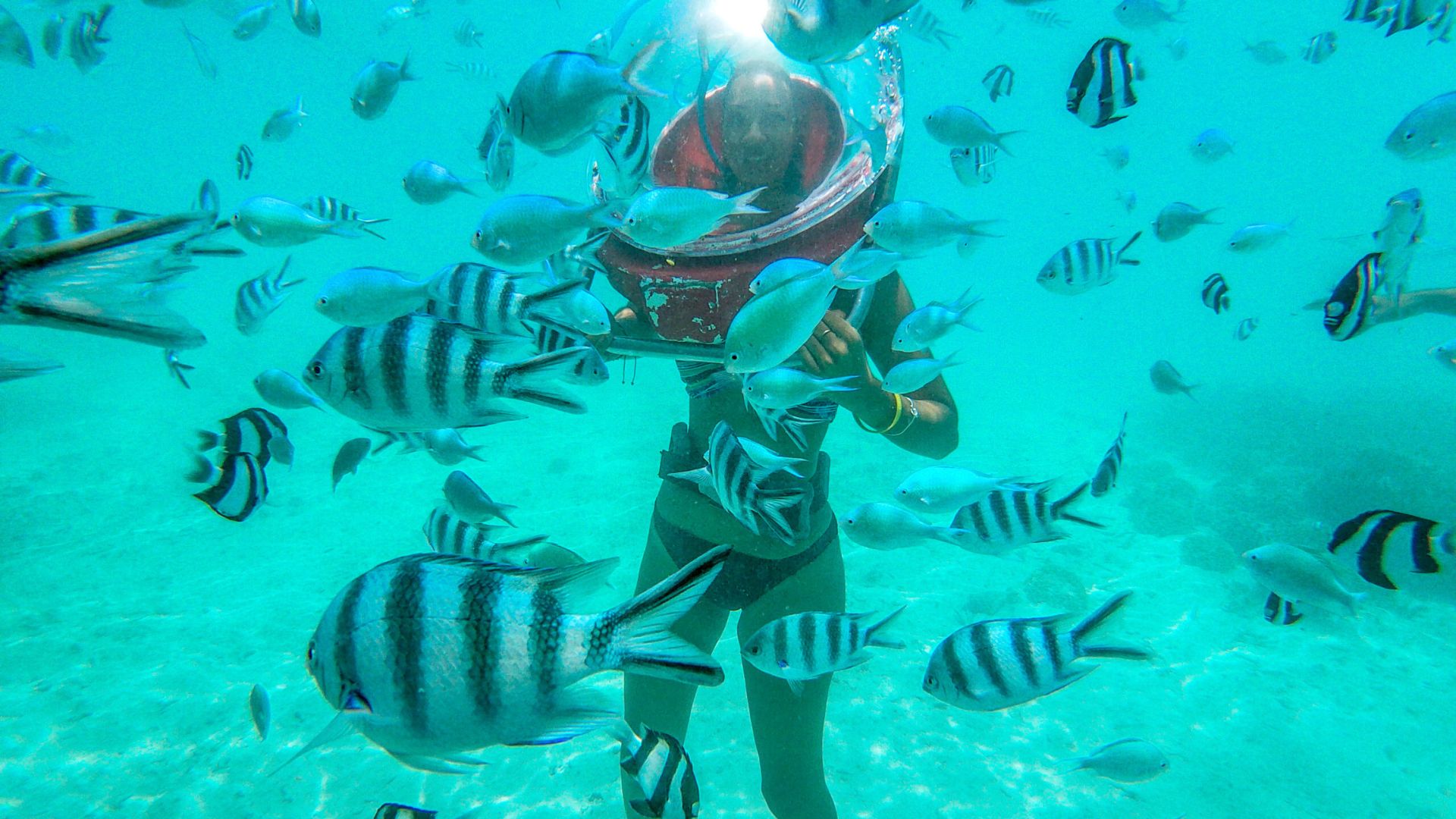 Undersea Walk + Parasailing + Tuberide + Lunch